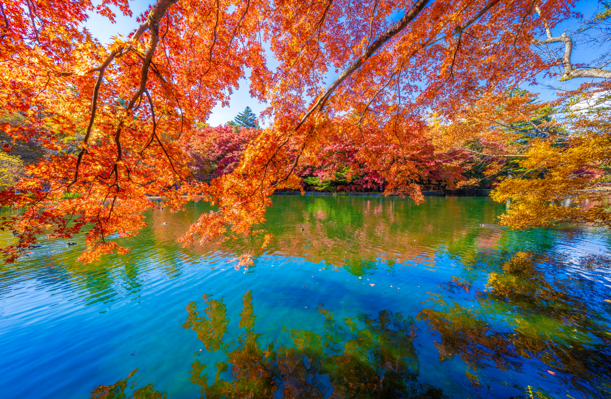 プレミアムな時間をあなたへ