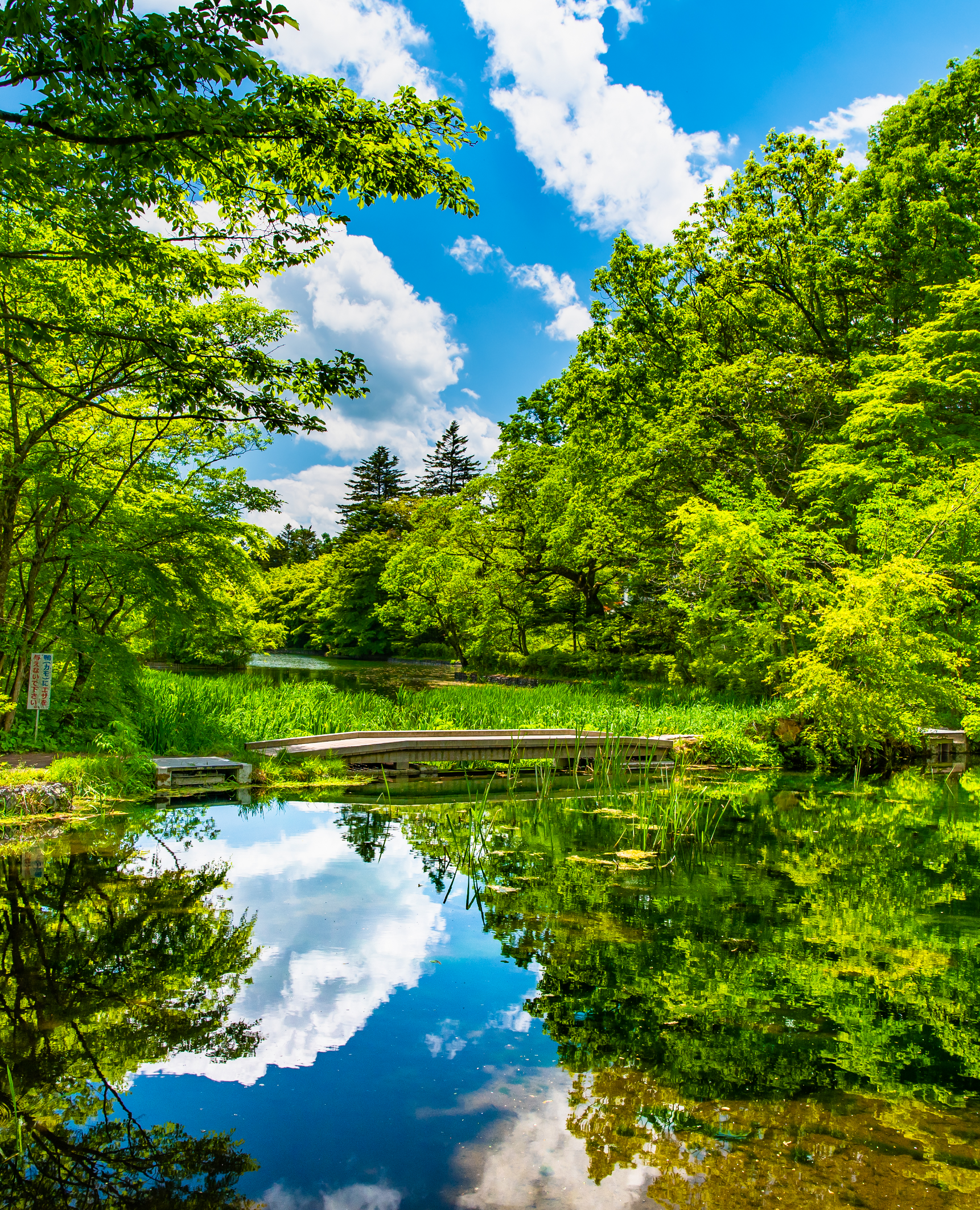 軽井沢不動産株式会社